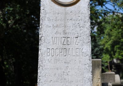 Litoměřice městský, Omnium, 2020