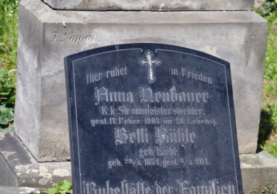 Litoměřice městský, Omnium, 2020
