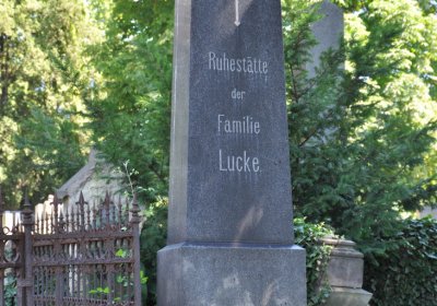 Litoměřice městský, Omnium, 2020