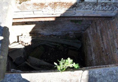 Litoměřice městský, Omnium, 2020
