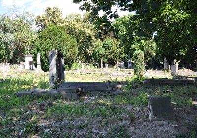 Litoměřice městský, Omnium, 2020