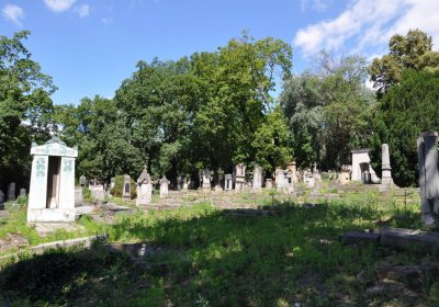 Litoměřice městský, Omnium, 2020