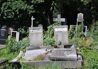 Litoměřice městský, Omnium, 2020