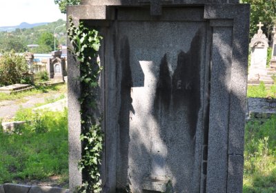 Litoměřice městský, Omnium, 2020