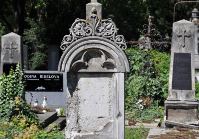 Litoměřice městský, Omnium, 2020