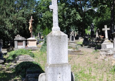 Litoměřice městský, Omnium, 2020