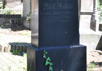 Litoměřice městský, Omnium, 2020