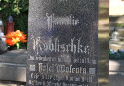 Litoměřice městský, Omnium, 2020