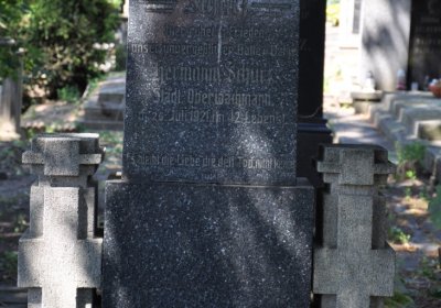 Litoměřice městský, Omnium, 2020