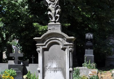 Litoměřice městský, Omnium, 2020