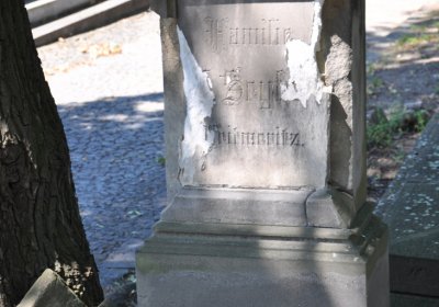Litoměřice městský, Omnium, 2020