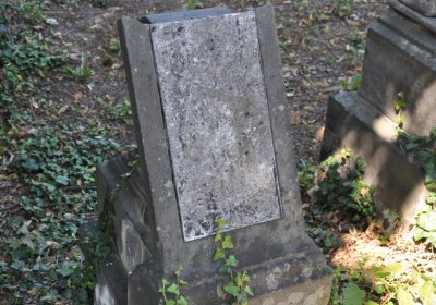 Litoměřice městský, Omnium, 2020