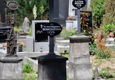 Litoměřice městský, Omnium, 2020