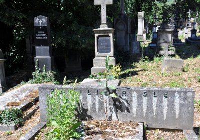 Litoměřice městský, Omnium, 2020
