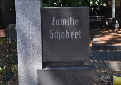 Litoměřice městský, Omnium, 2020
