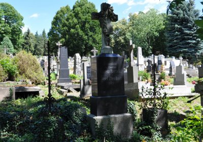Litoměřice městský, Omnium, 2020