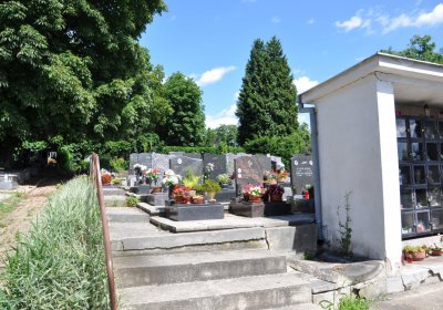 Litoměřice městský, Omnium, 2020