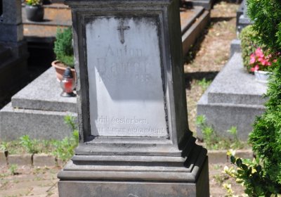 Litoměřice městský, Omnium, 2020