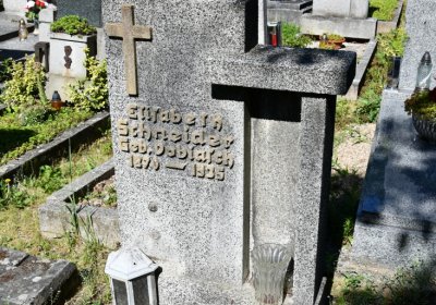 Litoměřice městský, Omnium, 2020