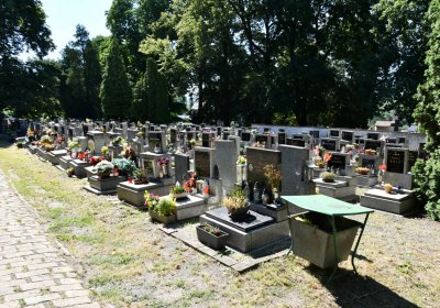 Litoměřice městský, Omnium, 2020