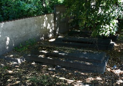 Litoměřice městský, Omnium, 2020
