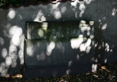 Litoměřice městský, Omnium, 2020