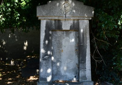 Litoměřice městský, Omnium, 2020
