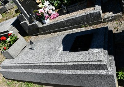 Litoměřice městský, Omnium, 2020