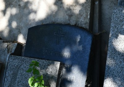 Litoměřice městský, Omnium, 2020