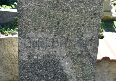 Litoměřice městský, Omnium, 2020