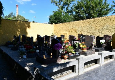 Litoměřice městský, Omnium, 2020
