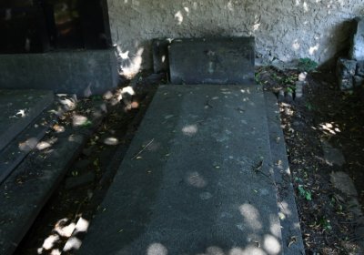 Litoměřice městský, Omnium, 2020