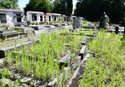 Litoměřice městský, Omnium, 2020