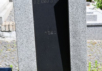 Litoměřice městský, Omnium, 2020