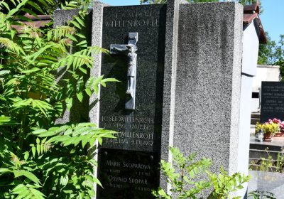 Litoměřice městský, Omnium, 2020