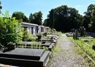 Litoměřice městský, Omnium, 2020