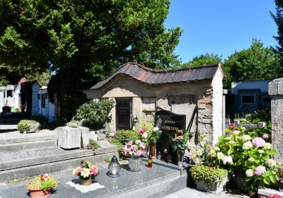 Litoměřice městský, Omnium, 2020