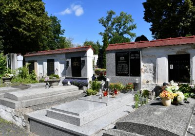 Litoměřice městský, Omnium, 2020