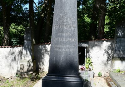 Litoměřice městský, Omnium, 2020