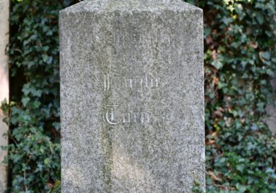Litoměřice městský, Omnium, 2020