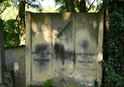 Litoměřice městský, Omnium, 2020