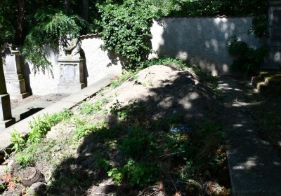 Litoměřice městský, Omnium, 2020