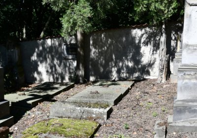 Litoměřice městský, Omnium, 2020