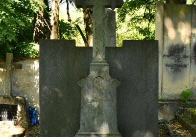 Litoměřice městský, Omnium, 2020