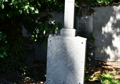 Litoměřice městský, Omnium, 2020