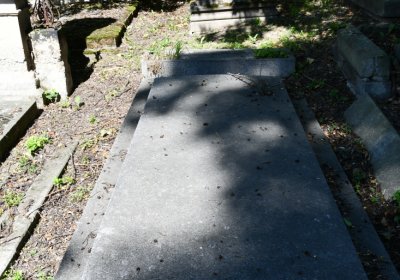 Litoměřice městský, Omnium, 2020