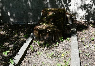 Litoměřice městský, Omnium, 2020