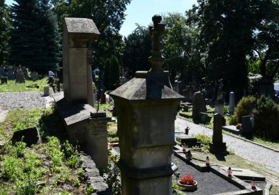 Litoměřice městský, Omnium, 2020