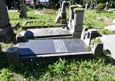Litoměřice městský, Omnium, 2020