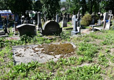 Litoměřice městský, Omnium, 2020